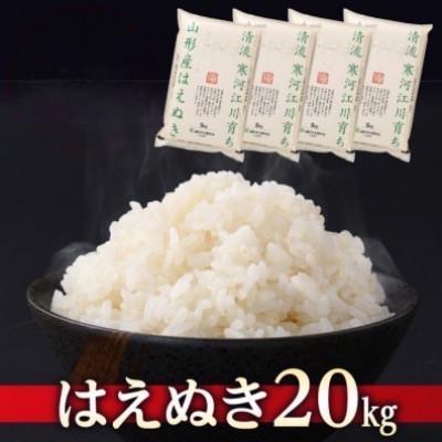 ふるさと納税 寒河江市 【令和6年産】清流寒河江川育ち 山形産はえぬき20kg(5kg×4袋)
