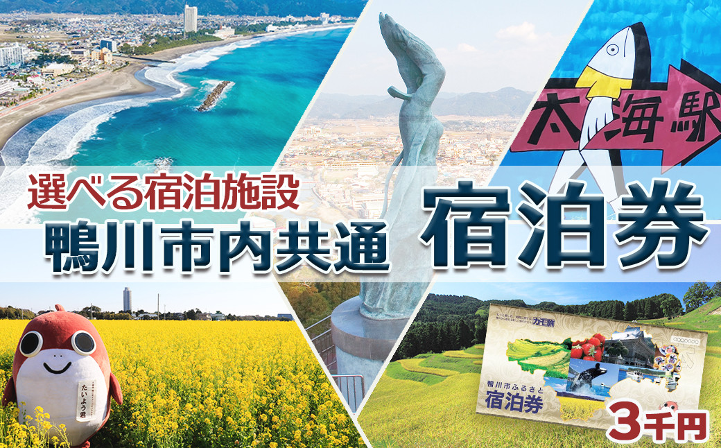 
                  【千葉県鴨川市】市内宿泊施設『共通宿泊券』３千円相当　[0010-0352]
                