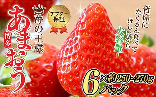 
                  【先行予約／2027年出荷】【福岡県産 あまおう】テレビ 「 ヒルナンデス 」 で紹介されました！ 訳あり グランデ 約250-270g × 6パック ふるさと納税 あまおう いちご イチゴ 苺 博多 赤村 果物 くだもの フルーツ ジャム ケーキ スムージー にも 先行予約 数量限定 ふるさと ランキング 人気 おすすめ 福岡 TV紹介 送料無料 3W13
                