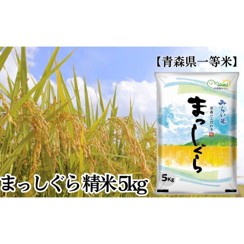 【ふるさと納税】「令和6年産」まっしぐら 精米 5kg【青森県産 一等米】 お米