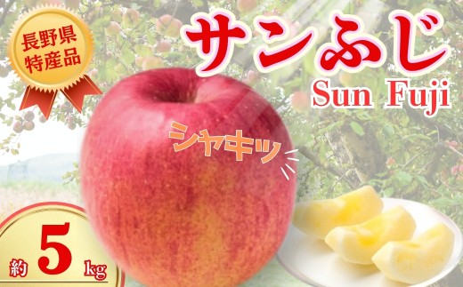 【2026年先行予約】サンふじ 約5kg｜ 果物 フルーツ リンゴ 林檎 サンフジ さんふじ 千曲市 長野県 信州