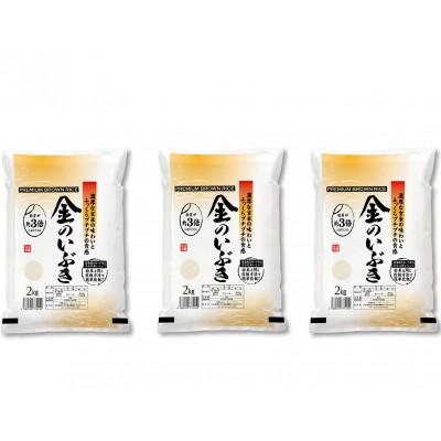 ふるさと納税 横手市 【令和7年産】金のいぶき 6kg(2kg×3袋)　玄米