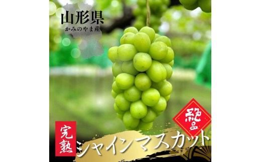 大粒シャインマスカット　１房　0079-2612