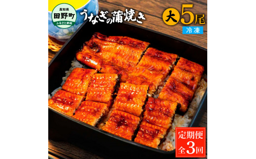 
田野町産うなぎの蒲焼き(大) 5尾×3回 定期便 3ヶ月 定期コース 1尾あたり120～150g タレ付き 山椒付き うなぎ 鰻 ウナギ 蒲焼き かば焼き 無頭 おいしい 国産 お取り寄せ 冷凍 配送
