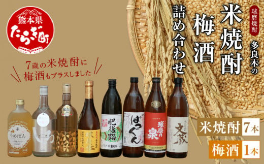 多良木の米焼酎・梅酒 詰め合わせ 8本 飲み比べ セット 【焼酎 しょうちゅう 米焼酎 米 梅酒 梅 お酒 酒 肥後路 文蔵 球磨の泉(常圧) ばつぐん 銀しろ 球磨拳(減圧) 黄金卿 うめぽん 減圧