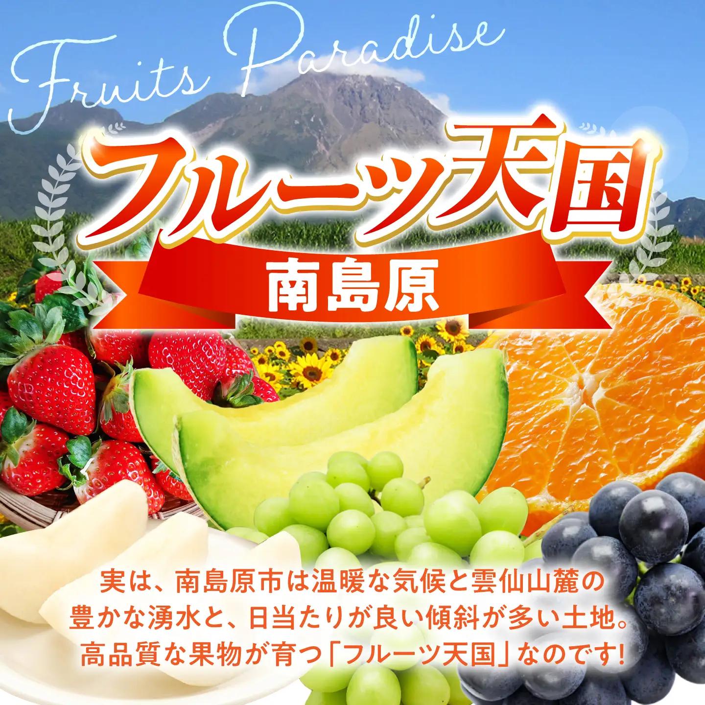 【12回】フルーツ定期便 旬のフルーツ[SDZ023] 