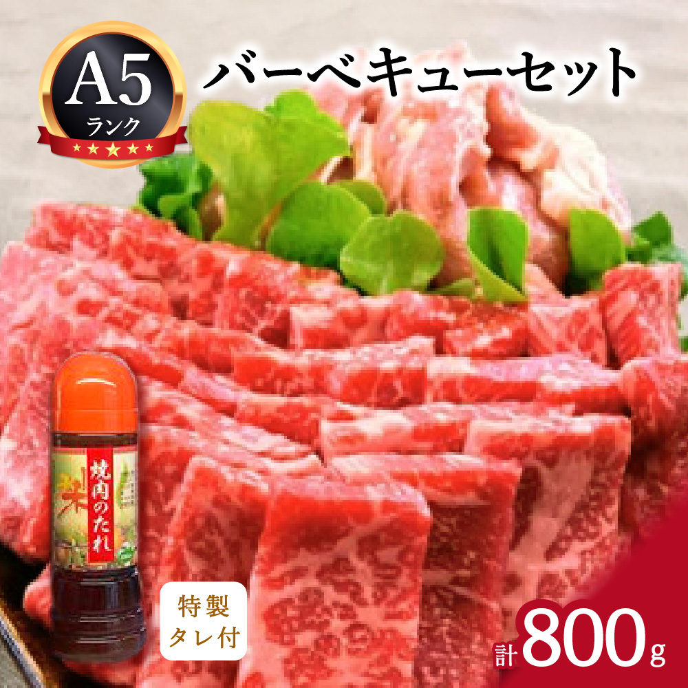 バーベキューセット 伊万里牛 モモ 鶏肉 約800g J340_イメージ1