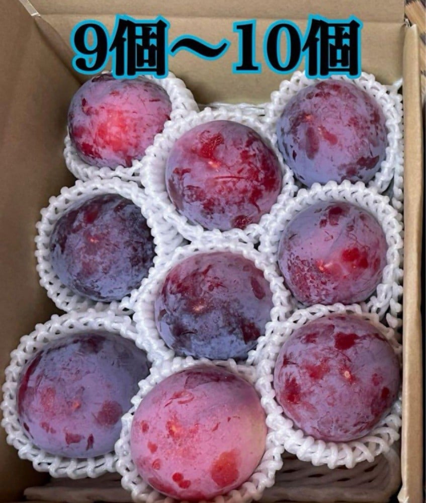 
            厳選 太陽すもも 9～10個入り【2026年発送】（ISI）B-896 【太陽 すもも スモモ 令和8年発送 期間限定 山梨県産 甲州市 フルーツ 果物】
          