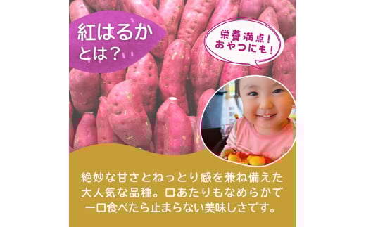 訳あり 干し芋 紅はるか ゆうゆう農園の干し芋 平干しタイプ 2kg【簡易包装品】 | 訳あり干し芋 紅はるか干し芋 平干し ほしいも 干しいも 国産 無添加 茨城県産 さつまいも サツマイモ お芋 