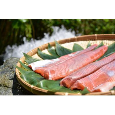 ふるさと納税 日光市 鱒界の頂点を目指しマス!頂鱒(イタダキマス)の柵どり(生食用)約1.2kg