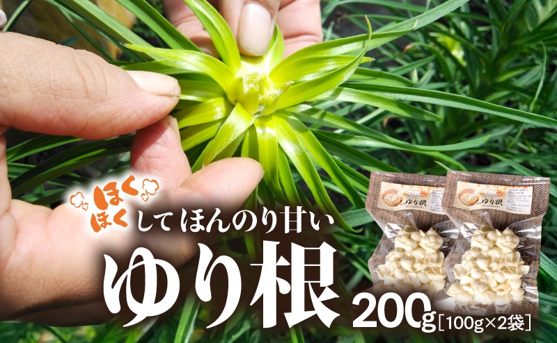 
            2351 ほくほくしてほんのり甘いゆり根 200g（100g×2袋）　KN082-001-02
          