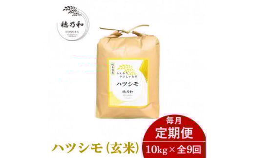 ＜発送月固定定期便＞＜先行予約＞岐阜県産ハツシモ(玄米)10kg全9回【4069203】
