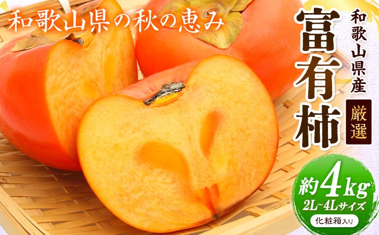 
                  【先行予約】厳選 和歌山産の富有柿 約4kg 2L～4Lサイズ 化粧箱入り 厳選館 《2026年11月中旬-12月上旬頃出荷》和歌山県 日高川町 かき 果物 フルーツ 青果
                
