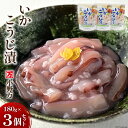 【ふるさと納税】いかこうじ漬 180g 3個セット [小野万 宮城県 気仙沼市 20564597] 魚 魚介類 いか イカ 冷蔵 酒の肴 おつまみ ご飯のお供 珍味 麹漬け こうじ漬け