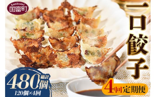 ＜4回定期便 一口餃子 120個入り（3か月に1回発送）＞翌月末迄に順次出荷【 餃子 ぎょうざ ギョウザ ギョーザ 宮崎餃子 宮崎 一口餃子 大明神 鶏肉 豚肉 野菜 居酒屋 おつまみ 晩御飯 お供 ビール 焼酎 ハイボール だれやめ 弁当 冷凍 白菜 定期便 】