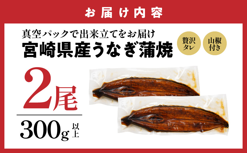 【お中元】宮崎県育ちのうなぎ蒲焼2尾300g以上≪山椒・たれ付≫_13-M301-SG