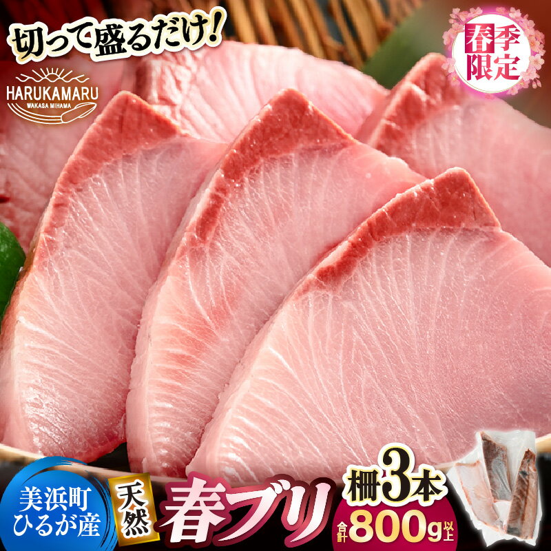 【ふるさと納税】【先行予約】天然！地物！ひるがの春ぶり 柵3本 刺身用【合計800g以上】【2026年5月下旬以降順次発送予定】魚 冷凍 真空パック フィレ 照り焼き ぶり大根 ぶりしゃぶ ぶり ブリ 鰤 ブリトロ ぶりとろ 生食 刺身 海鮮丼 日向 福井 美浜 海鮮 旬 プレゼント