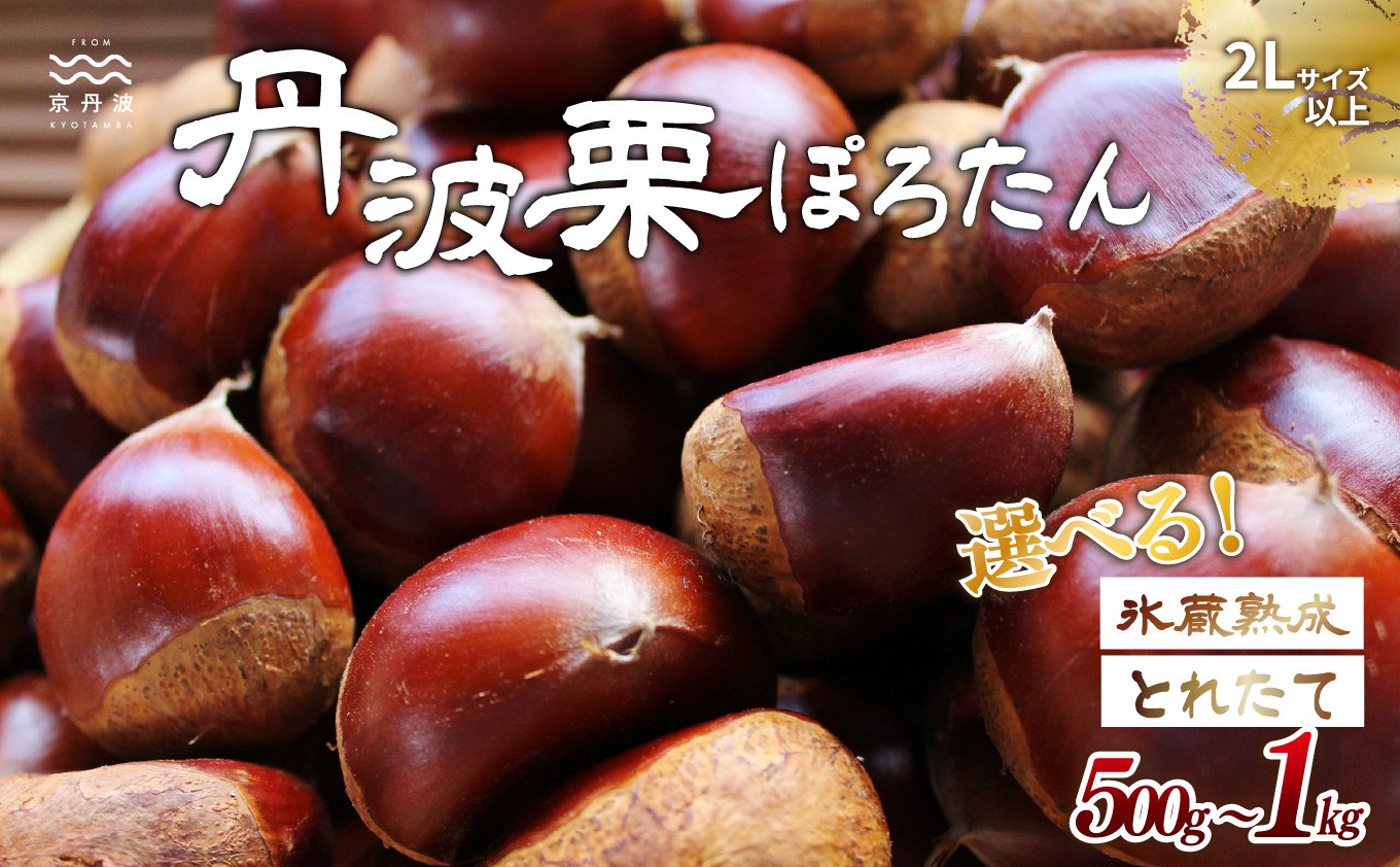 
                  京丹波町岩崎農園の栗「ぽろたん」選べる　500g　1kg　とれたて栗　氷蔵熟成栗　京丹波町産丹波栗　 [012IW002LX]※北海道・沖縄は配送不可
                