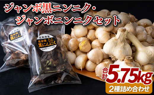 C236p ジャンボ黒ニンニク･ジャンボニンニクセット