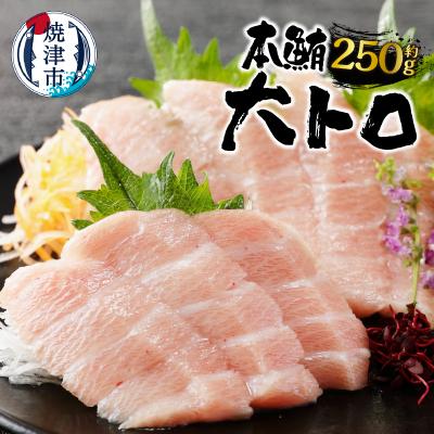 ふるさと納税 焼津市 焼津 本マグロ 大トロ 1本約250g 冷凍 F1(a20-373)