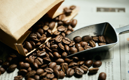 【定期便】関市　コーヒー豆　カフェアダチ　コクのある　厳選ストレートコーヒー　６ヶ月定期便　１００g/カフェアダチ　珈琲　コーヒー　自家焙煎　COFFEE　焙煎　豆　粉にもできます　