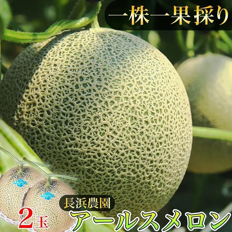 メロン／果物【数量限定50】アールスメロン（ネットメロン） 2玉（2027年7月上旬～発送）メロン・果物・フルーツ