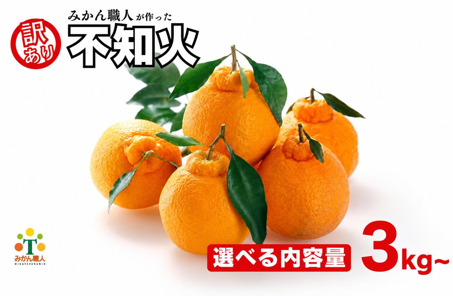 
                  【先行予約】選べる内容量 訳あり 不知火 3kg 5kg しらぬい かんきつ 不知火 みかん 柑橘 みかん 蜜柑 でこぽん デコポン 同品種 ミカン 蜜柑 完熟みかん おやつ 家庭用みかん 箱入りみかん ご家庭用みかん 果物 くだもの 果実 愛媛県 愛南町 みかん職人武田屋
                