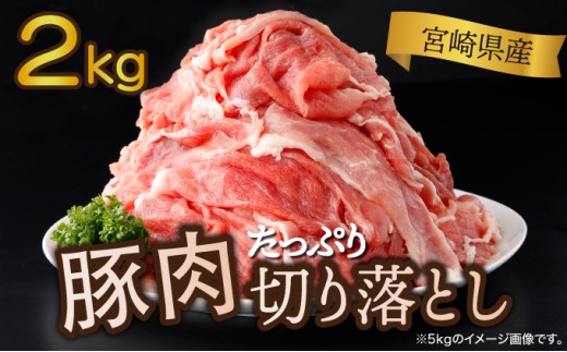 ＜2025年9月発送分＞宮崎県産 豚肉切り落とし 250g×8パック 合計2kg