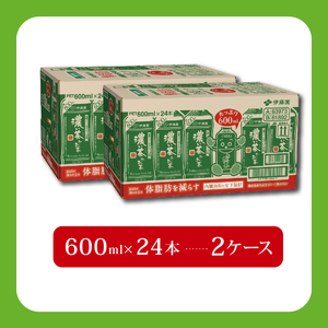 131-41　【機能性表示食品】おーいお茶濃い茶PET600ml×24本　2ケース