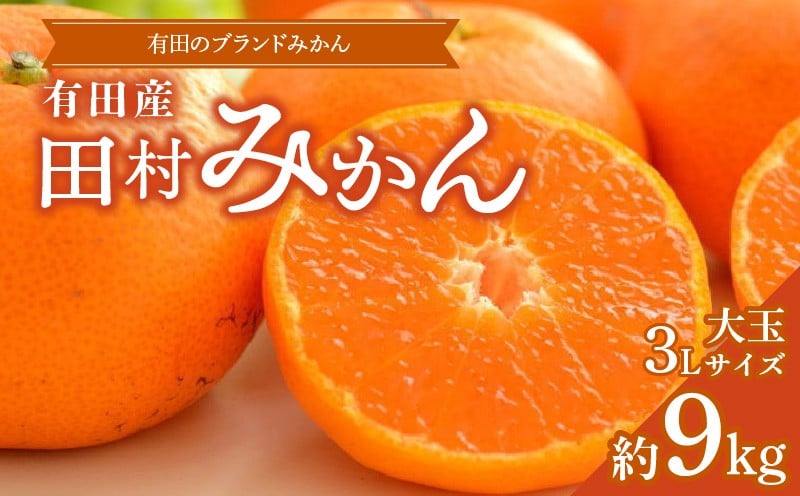 
                  ZD7028_【ふるさと納税】【2026年先行予約】 数量限定 田村みかん 約 9kg 3Lサイズ 大玉 等級 混合 国産 ブランドみかん 大玉みかん みかん 柑橘 果物 果実 濃厚 フルーツ デザート 食品 食べ物 お取り寄せ お取り寄せフルーツ 和歌山県 湯浅町 送料無料
                