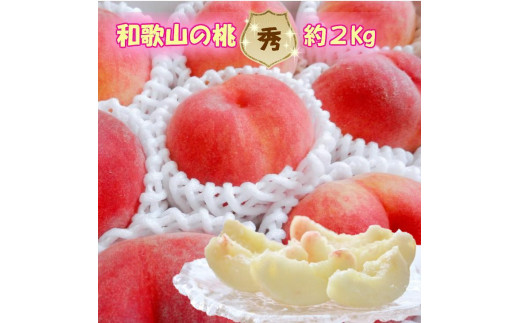 
            【秀品】和歌山ブランド白桃 約2kg！ ギフト 贈答品にも! 2026年7月発送分
          
