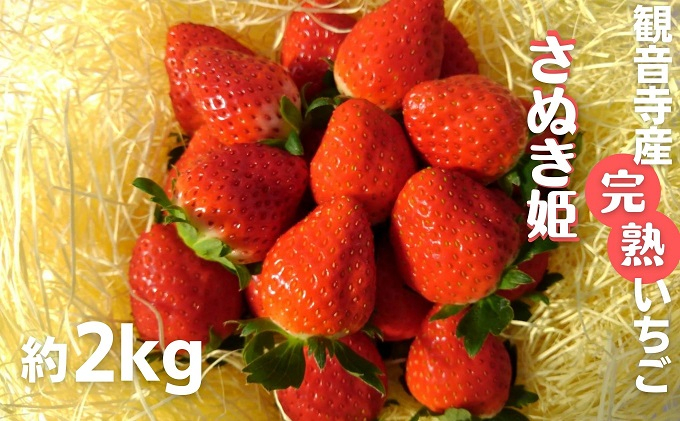 
数量限定　苺狩りの食味をお届け！観音寺産完熟いちご（さぬき姫）約2kg

