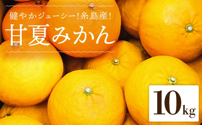 
                  健やかジューシー・夏の味 糸島産甘夏みかんM～L玉・約10kg    二丈赤米産直センター [ABB006]
                