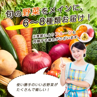 鹿児島県枕崎産旬の野菜の詰め合わせ(6～8種類) 野菜セット 国産 九州 厳選 A3-291【配送不可地域：離島】