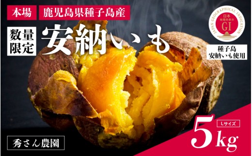 【先行予約】安納いも さつまいも 5kg (Lサイズ)【秀さん農園】種子島 焼きいも 焼き芋 本場 安納芋  さつま芋 甘い ねっとり スイーツ おやつ グルメ お取り寄せ おせち 人気 種子島産 返礼品 南種子町 鹿児島 かごしま 【観光物産館トンミー市場】