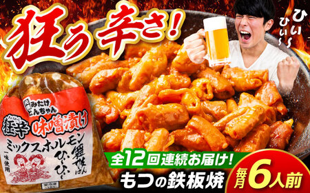 【12回定期便】 「元祖みたけとんちゃん」 狂辛 味噌漬け ミックスホルモン 3袋 [AVAA069]つまみ 定期