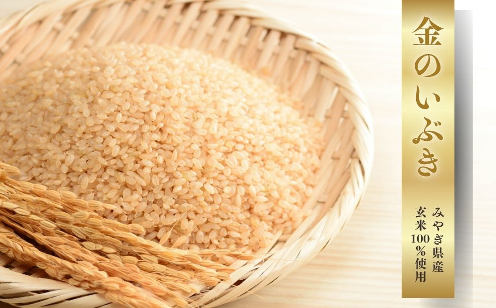 【ふるさと納税】お手軽ハンドごはん 北海ホタテ 120g×5本 セット レトルト パウチ 非常食 防災 アウトドア ゴロっと北海ホタテの焦がし醤油 ほたて 帆立 澤田食品