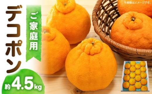 高松産季節の果物＜ご家庭用　デコポン＞約4.5kg【2027年2月下旬～2027年4月上旬配送】 372013_T006-054J