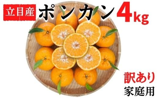 
訳あり ぽんかん 4kg 家庭用 大小混合 不揃い 規格外 わけあり 高知県産 立目産 果物 フルーツ 柑橘 みかん 低農薬 高知県 須崎市
