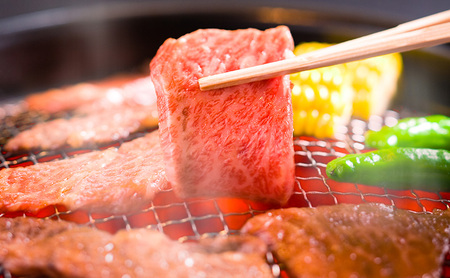 松阪牛 堀坂牧場産 モモ焼肉用 赤身 松阪牛【600g】