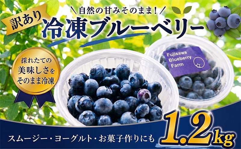 
                  訳あり 訳アリ ブルーベリー 冷凍 1.2kg 1袋 ぶるーべりー 果物 フルーツ 人気 朝食 旬 数量限定 品種 おまかせ ジャム ヨーグルト トッピング お菓子 作り blueberry 10000円 関東 最大級 観光 農園 藤沢ブルーベリーファーム 神奈川 湘南 藤沢
                