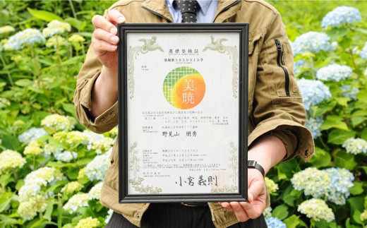 《2027年分受付中》≪数量限定！≫のみやまファームの赤肉メロン「美暁」（各1.6kg以上を2玉）