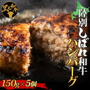 【ふるさと納税】北海道十勝 陸別しばれ和牛 ハンバーグ 150g × 5個 北海道 黒毛和牛 肉 和牛 十勝 ビーフ 赤身 霜降り 国産 牛肉 おかず 惣菜 お惣菜 時短 簡単 肉汁 お取り寄せ 贅沢 ご褒美 グルメ 冷凍 送料無料 有限会社サンライズ　お肉・ハンバーグ