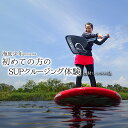 【ふるさと納税】 SUP 体験 初心者向け (1名様分/器材レンタル込) 海底少年 アクティビティ マリンアクティビティ マリンスポーツ サップ 海 四国 徳島 徳島県 海陽 海陽町