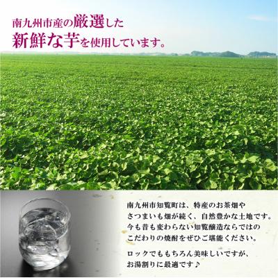 ふるさと納税 南九州市 本格芋焼酎とお茶飲み比べセット |  | 02