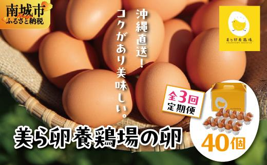 卵の黄身が掴めるほどの新鮮さ 美ら卵養鶏場の卵 40個【3ヶ月定期便】   I  たまご タマゴ  卵 美ら卵 養鶏場 美ら卵 新鮮  養鶏場  定期便 40個   沖縄県 南城市 ふるさと納税 有限会社 美ら卵養鶏場