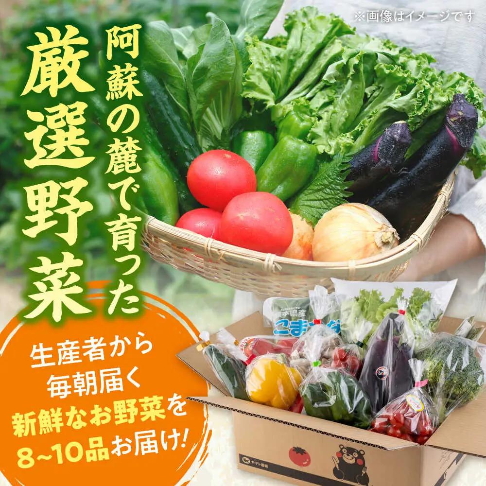 【全12回定期便】旬な野菜おまかせ詰め合わせセット 野菜 [AYCA002]