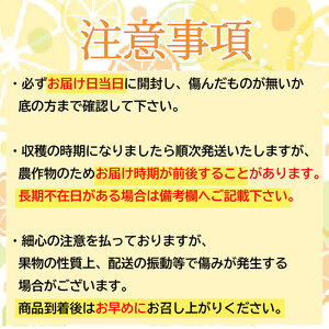 【 訳あり 】小夏 ( 日向夏 ) サイズ おまかせ ( S～Lサイズ ) 5kg 無印 等級  旬 高知 県 須崎 産  柑橘 初夏 フルーツ ｺﾅﾂ 果物 小夏 こなつ ｺﾅﾂ ひゅうが夏 ｺﾅﾂ