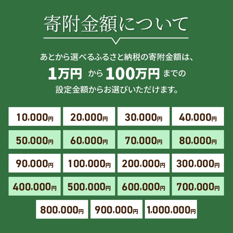 あとからセレクト【ふるさとギフト】１００万円