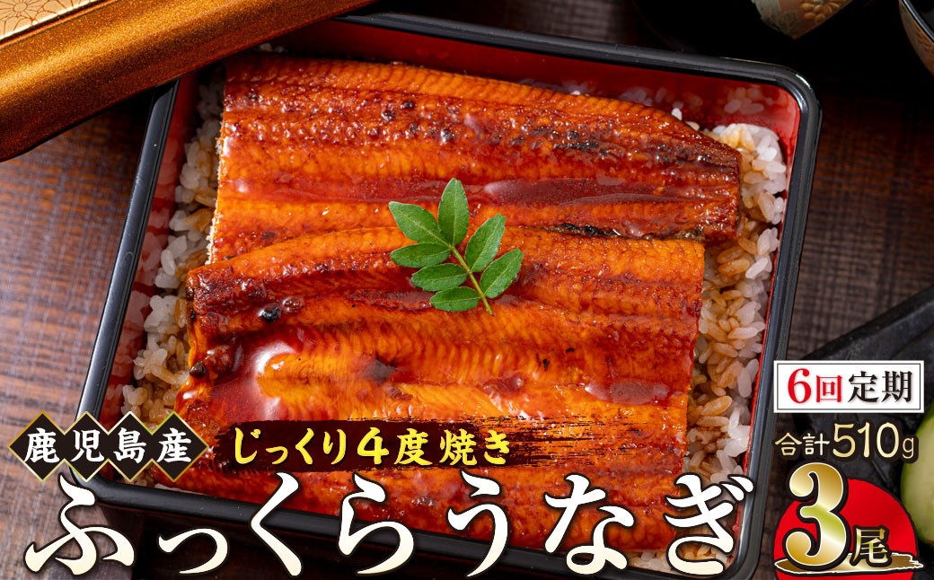 
【6回定期】うなぎ 蒲焼 170g×3尾【鹿児島産】地下水で育てた絶品鰻
